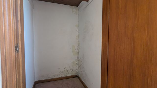 PXL_20240919_141008862