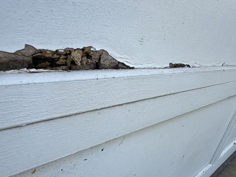 Photo Sep 12 2024, 1 24 58 PM