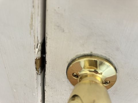 Photo Sep 12 2024, 1 29 05 PM