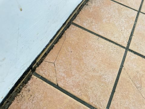 Photo Sep 12 2024, 1 29 20 PM