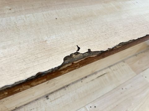 Photo Sep 12 2024, 1 29 28 PM