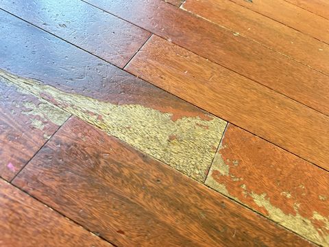 Photo Sep 12 2024, 1 29 41 PM