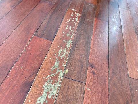 Photo Sep 12 2024, 1 29 44 PM