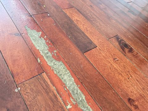 Photo Sep 12 2024, 1 29 46 PM