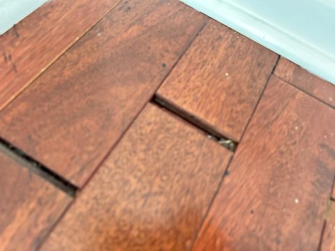 Photo Sep 12 2024, 1 29 53 PM