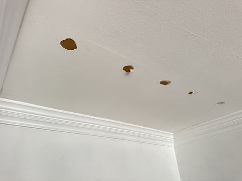 Photo Sep 12 2024, 1 30 27 PM