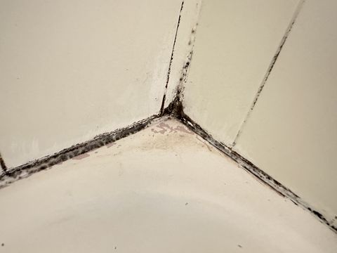 Photo Sep 12 2024, 1 34 04 PM