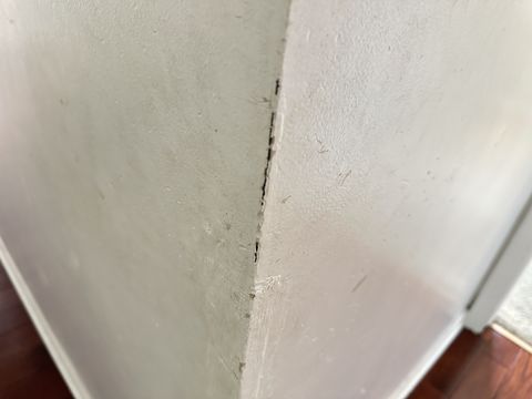 Photo Sep 12 2024, 1 35 00 PM