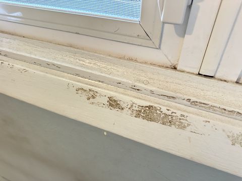 Photo Sep 12 2024, 1 35 08 PM