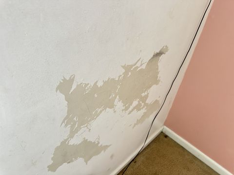 Photo Sep 12 2024, 1 35 30 PM