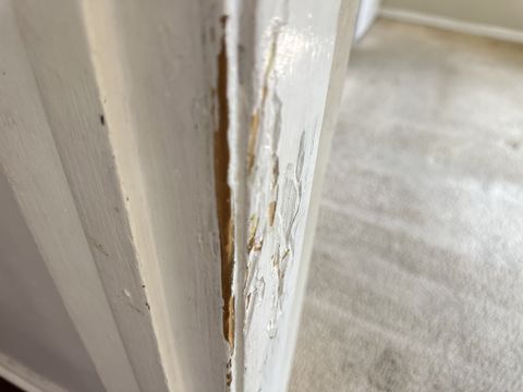 Photo Sep 12 2024, 1 35 47 PM