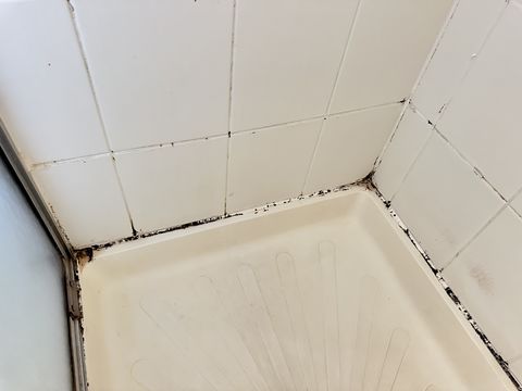 Photo Sep 12 2024, 1 36 23 PM