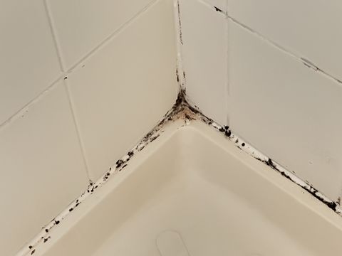 Photo Sep 12 2024, 1 36 32 PM