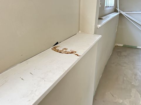 Photo Sep 12 2024, 1 38 10 PM