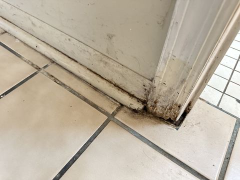 Photo Sep 12 2024, 1 38 20 PM