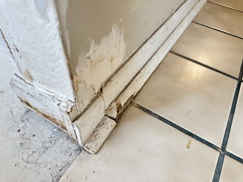 Photo Sep 12 2024, 1 38 23 PM