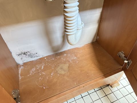 Photo Sep 12 2024, 1 38 37 PM