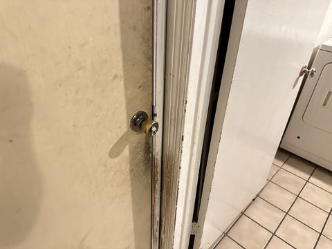 Photo Sep 12 2024, 1 38 55 PM