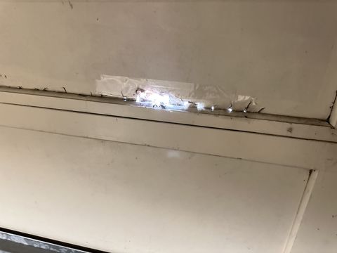 Photo Sep 12 2024, 1 39 46 PM