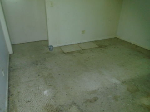 P_1722636878000_DSC02554