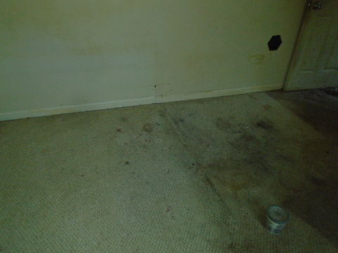 P_1722636878178_DSC02565