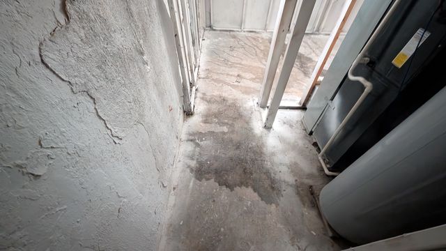 PXL_20241030_151825604