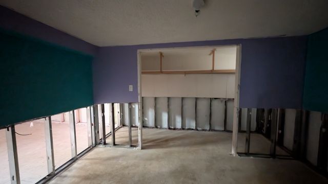 PXL_20241030_151901784