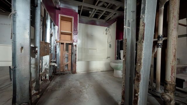 PXL_20241030_151911357