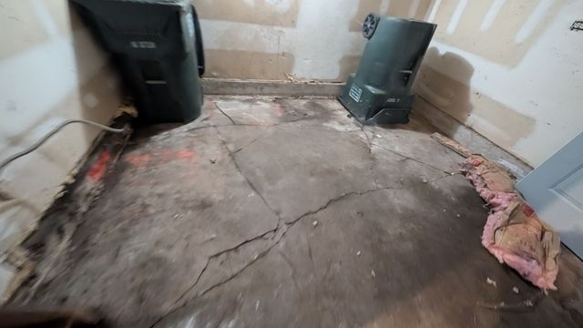 PXL_20241031_145928970