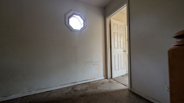 PXL_20241031_145954370