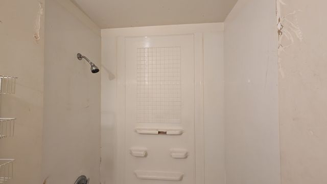 PXL_20241031_150024621