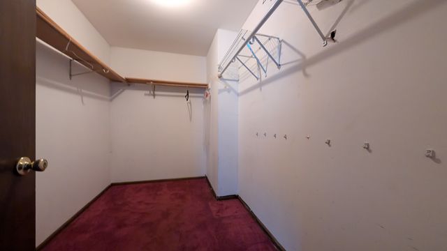 PXL_20241122_202152012