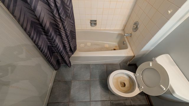 PXL_20241122_202615372