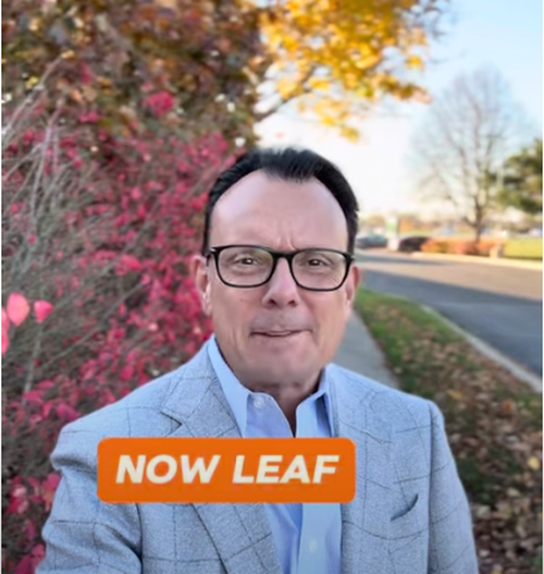 Leaf Cleaning Service