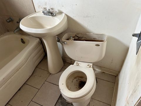 HD_1708709536248_IMG_0505