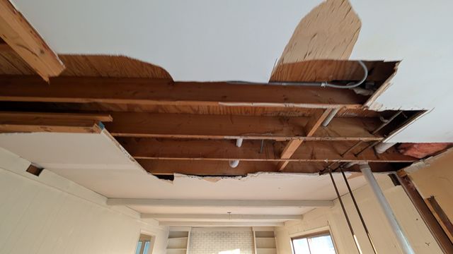 PXL_20241206_214510950