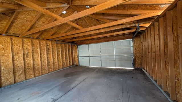 PXL_20250103_185536741