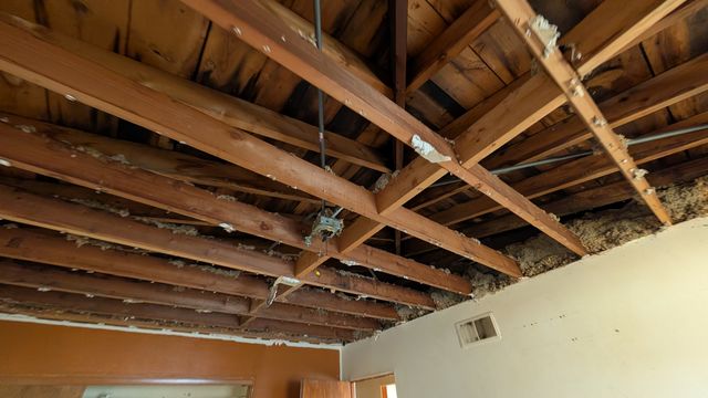 PXL_20250103_185816660