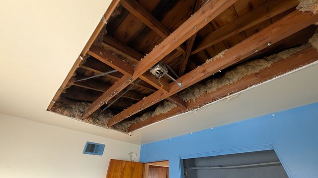 PXL_20250103_185828748