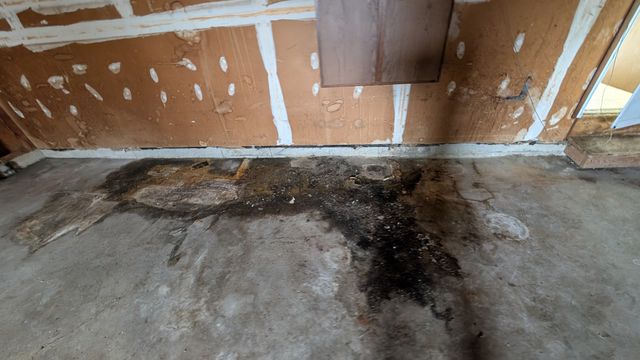 PXL_20250124_193643674