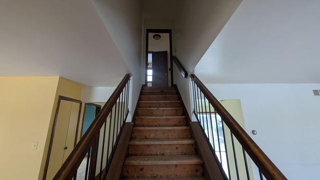 PXL_20250124_193723566