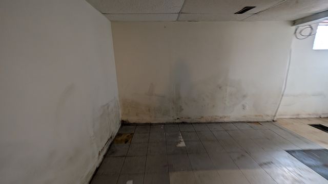 PXL_20250124_193847600