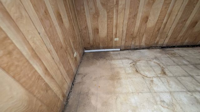 PXL_20250124_193943746