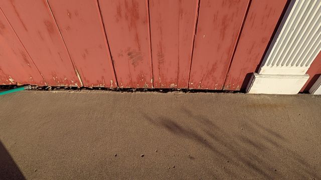 PXL_20250129_142742346