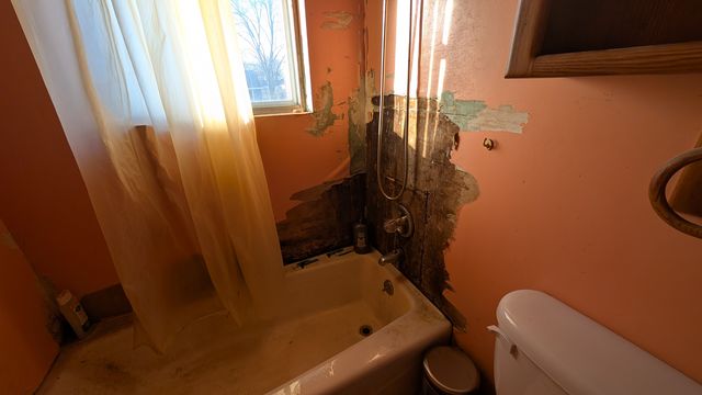 PXL_20250129_142856970