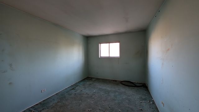 PXL_20250129_142913879