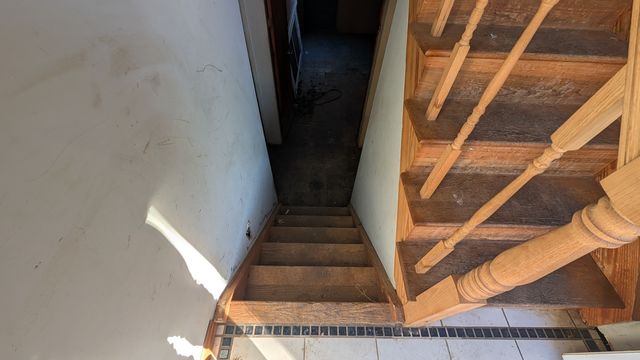 PXL_20250129_142940907