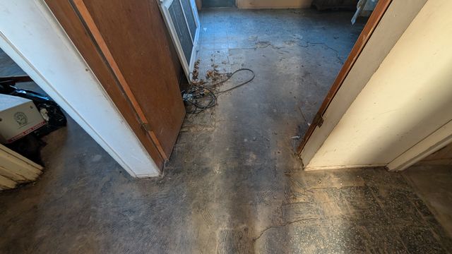 PXL_20250129_142947979