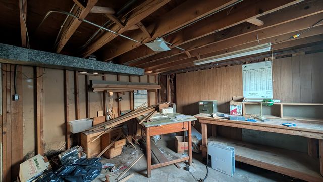 PXL_20250129_143021991