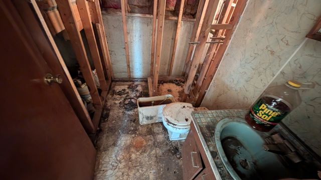 PXL_20250129_143030775